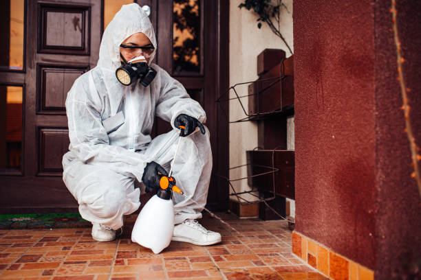 Reliable Wasp Removal contractor in Clinton, MO by Show Me Pest Control
